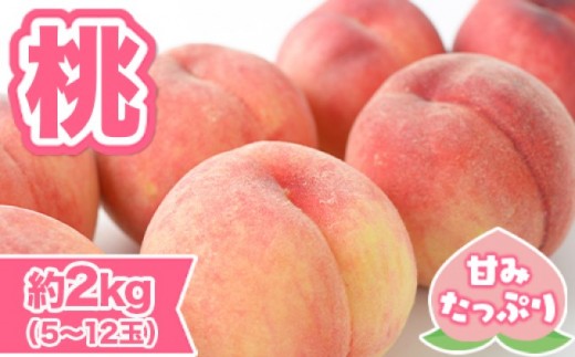 
                  桃 先行予約 錦町産 約2kg 5玉～12玉 6月より順次出荷 もも モモ フルーツ 果物 デザート 配送不可：離島
                