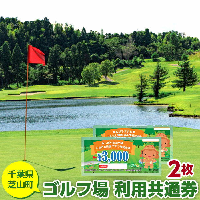 【ふるさと納税】No.002 芝山町ゴルフ場利用券　2枚 ／ golf 芝山ゴルフ倶楽部 京カントリークラブ イーグルレイクゴルフクラブ 共通チケット アウトドア 施設利用券 送料無料 千葉県
