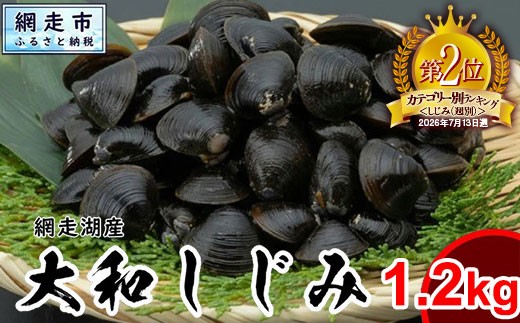 
                  【先行予約】網走湖産 天然大粒 大和しじみ 1.2kg ※着日指定不可（2026年5月20日以降発送予定） 【 ふるさと納税 人気 おすすめ ランキング しじみ シジミ 蜆 大和しじみ 貝 魚貝類 網走湖産 砂抜き済 冷凍 味噌汁 大粒 天然 北海道 網走市 送料無料 】 ABX072
                