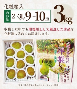 SA2718　六代多右エ門　西洋梨 ラ・フランス 秀品　約3kg(9～10玉) 2L～3Lサイズ 化粧箱入