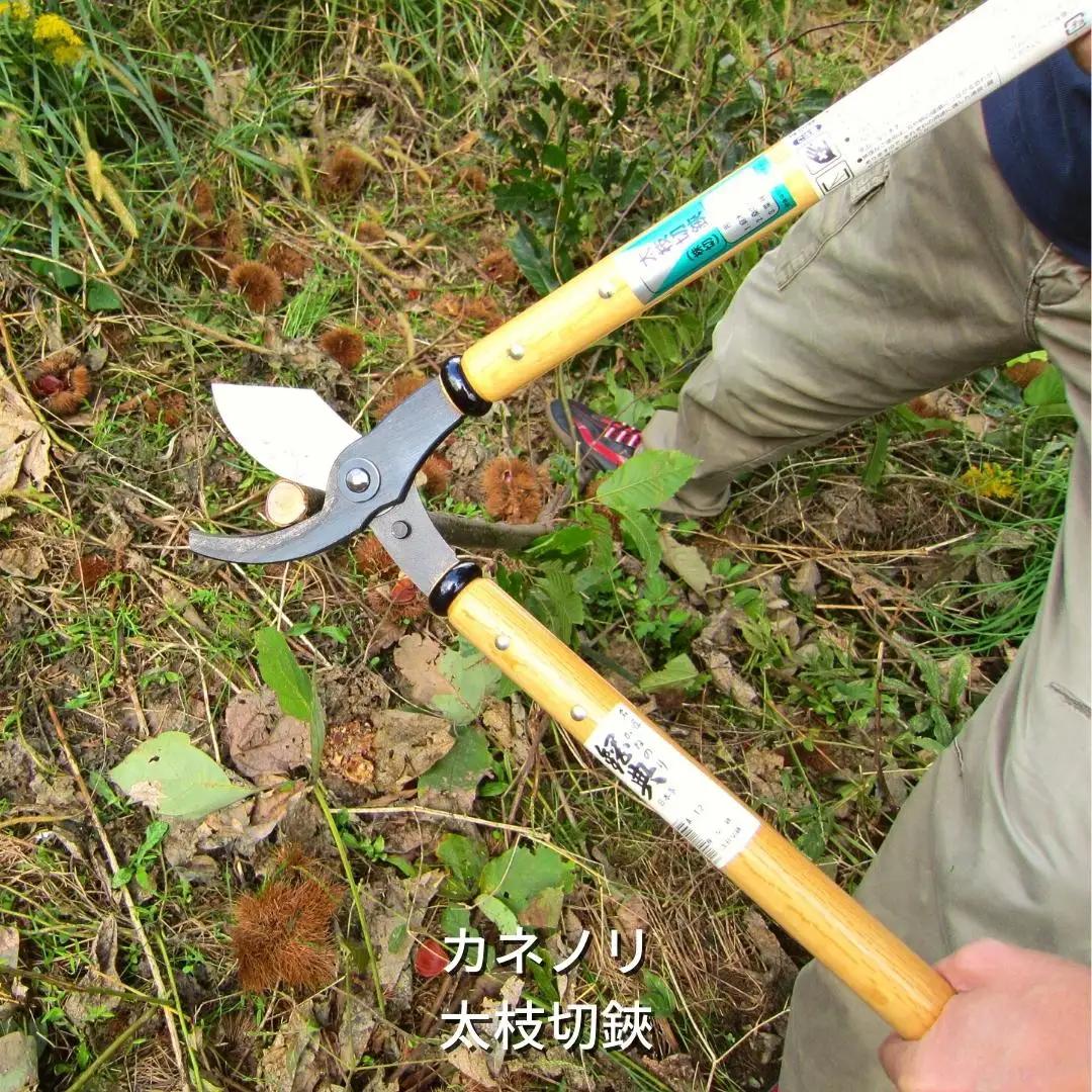 [カネノリ] 太枝切鋏 鋼典 燕三条製 火造り鍛造 ガーデニング[五十嵐刃物工業] 【018S024】