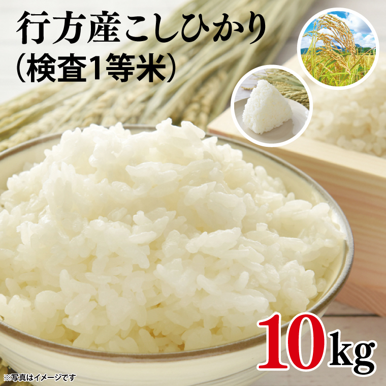 ★令和7年度産★行方産こしひかり 10kg(検査1等米)｜米 お米 コシヒカリ こしひかり 令和7年産 R7年産 茨城県 行方市(CU-31-2)