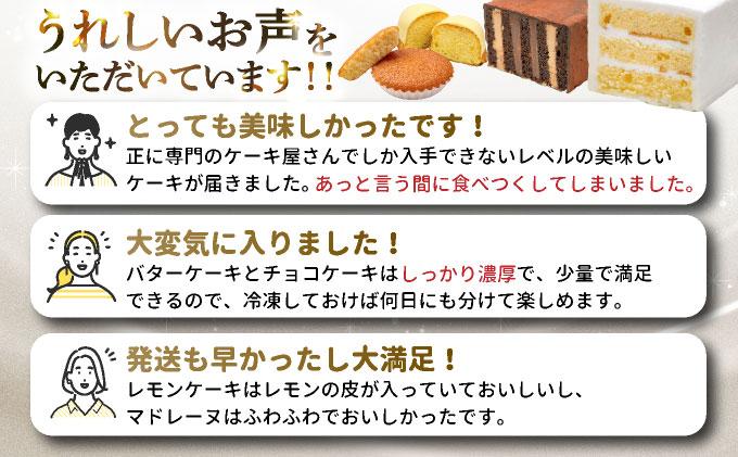 ＜定期便・全12回＞焼き菓子 2種セット 計9点【VISAVIS】|焼菓子 ヴィザヴィ お菓子 菓子 スウィーツ スイーツ マドレーヌ レモンケーキ 送料無料 福岡県 那珂川市