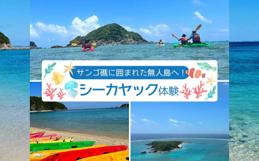 サンゴ礁に囲まれた無人島へ!シーカヤック体験 2名様【1606643】