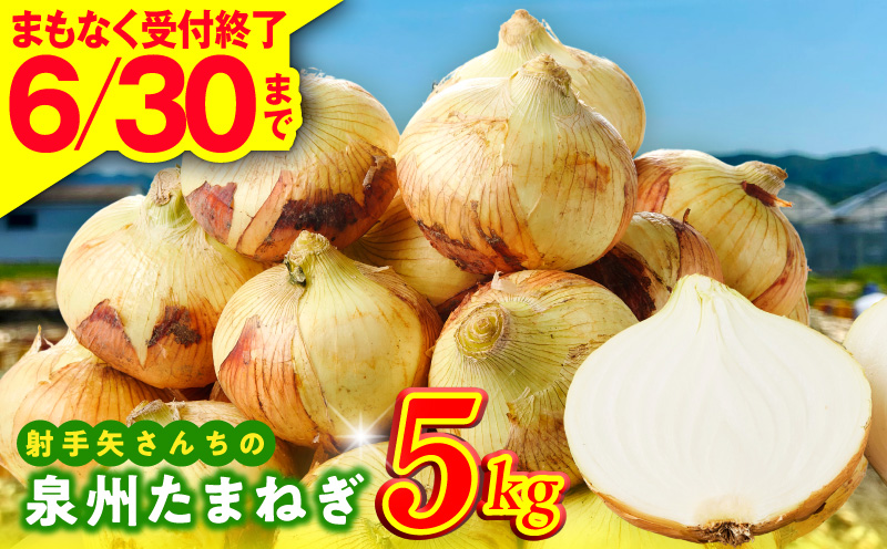 【6月30日受付終了】泉州たまねぎ 5kg 玉ねぎ 射手矢農園【タマネギ 玉葱 甘い 野菜 国産 期間限定 オニオン スライス サラダ カレー シチュー バーベキュー BBQ 肉じゃが TVで紹介！ 大阪 泉佐野 大阪府 泉佐野市】