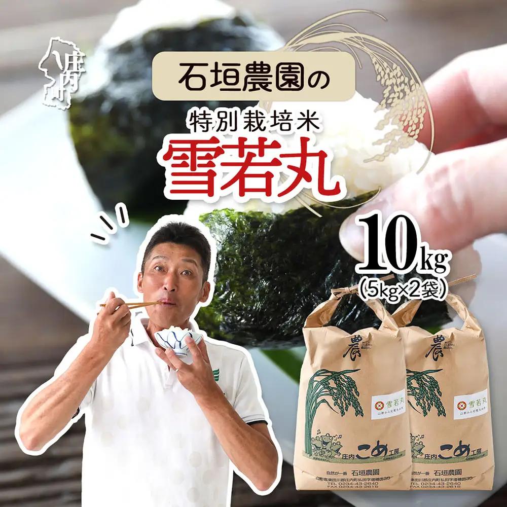 石垣農園の特別栽培米 雪若丸 10kg 5kg×2袋 令和7年産 2025年産 ブランド米 コシヒカリの原点、亀の尾発祥の地 庄内【1122-034I】