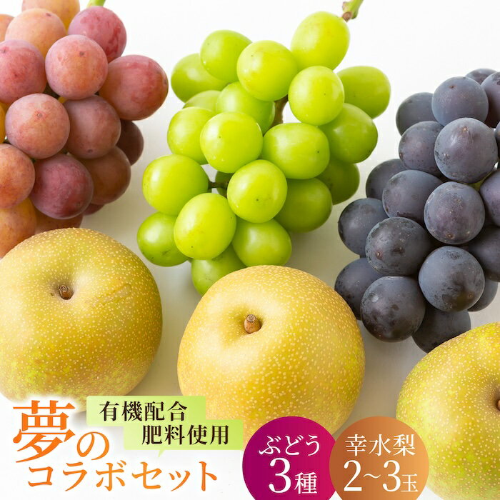 【ふるさと納税】【先行予約】種なし ハウスぶどう 3房 幸水梨 2玉から3玉 セット 2025年7月下旬から8月上旬 出荷予定 【春光園】 有機配合肥料使用 種なし ぶどう ブドウ 葡萄 梨 なし 果物 フルーツ 詰め合わせ 冷蔵 送料無料 福岡県 うきは市