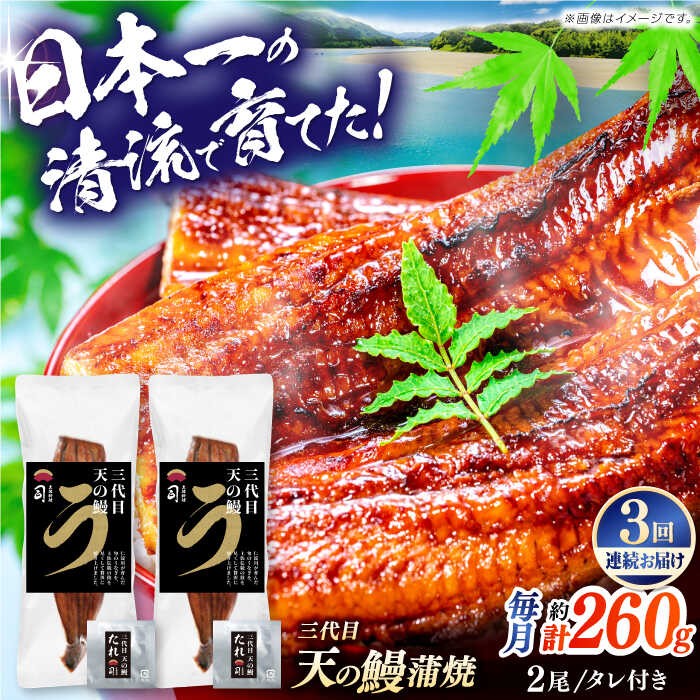 【ふるさと納税】【3回定期便】土佐料理司 三代目天の 鰻 蒲焼 2尾 セット 高知市 春野町産 【株式会社土佐料理司】[ATAD059] レンチン 蒲焼き かば焼き たれ うなぎ ウナギ 小分け 個包装 パック 冷凍 国産 レンジ レンジでチン おかず 簡単調理 調理済 時短 温めるだけ