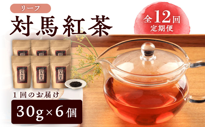 
                  【全12回定期便】対馬 紅茶 リーフ 30g×6個 《対馬市》【つしま大石農園】和紅茶 国産 茶葉 [WBE007]
                