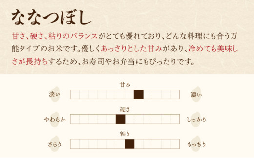 2026年11月発送 令和8年産 ななつぼし 白米 5kg (真空パック) 【プレミアム北彩香】