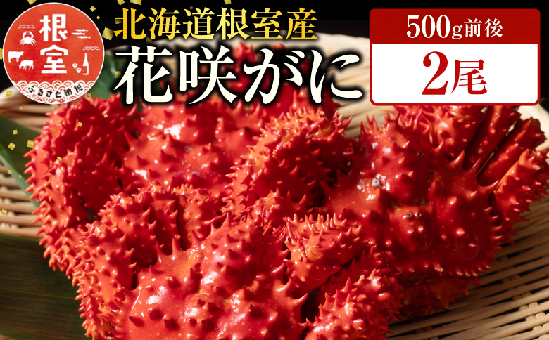 【北海道根室産】花咲かに500g前後×2尾 A-19010