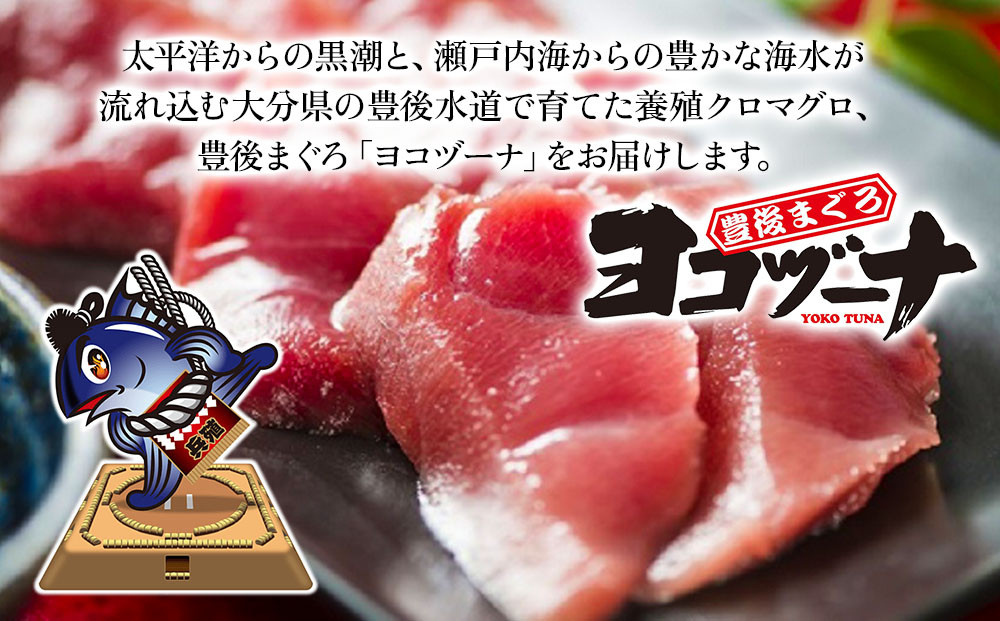 豊後まぐろ ヨコヅーナ 訳あり 端材 1kg | マグロ 訳アリ 切り落とし 希少 津久見市