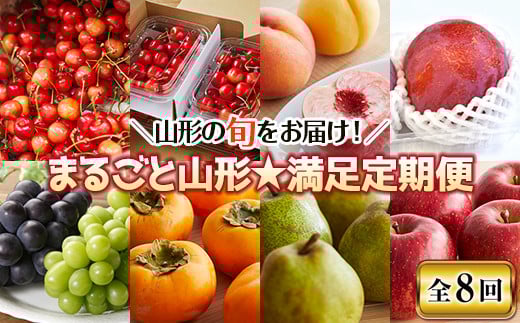 《先行予約 2026年度発送》まるごと山形☆満足定期便 フルーツ定期便 秀品 佐藤錦 FSY-2349