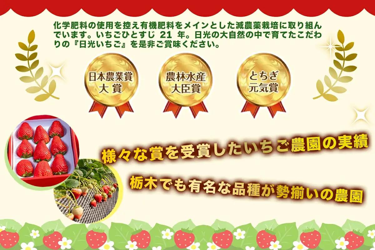 日光ストロベリーパーク いちご狩りチケット 大人3名様 [1035]