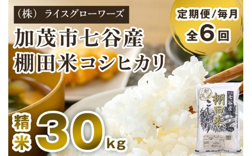 【令和8年産新米先行予約】【定期便6ヶ月毎月お届け】新潟県加茂市 七谷産 棚田米コシヒカリ 精米30kg（5kg×6）《10月上旬～順次出荷》 白米 （株）ライスグローワーズ