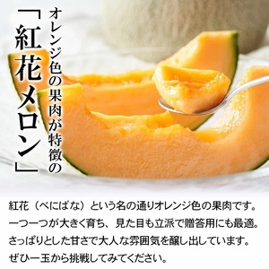 【令和8年産先行予約】 紅花メロン(赤肉)　3Lサイズ　1玉入り1箱　山形県鶴岡市産　小林ファーム 