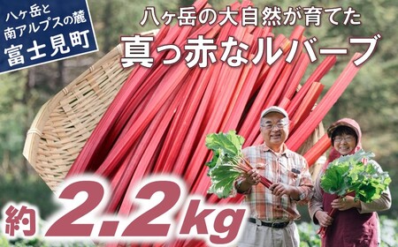 【2026年先行予約 6月より順次発送】赤いルバーブ・フレッシュ 約2.2kg ※配送不可地域あり 野菜 ルバーブ 西洋野菜 食物繊維 カリウム カルシウム ビタミンC アントシアニン かぼちゃん農園