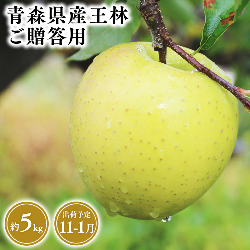 2025年産 １１月～１月発送　贈答用王林5ｋｇ　【そと川りんご園・１１月・１２月・１月・青森県産・平川市・りんご・王林・5ｋｇ・贈答用】