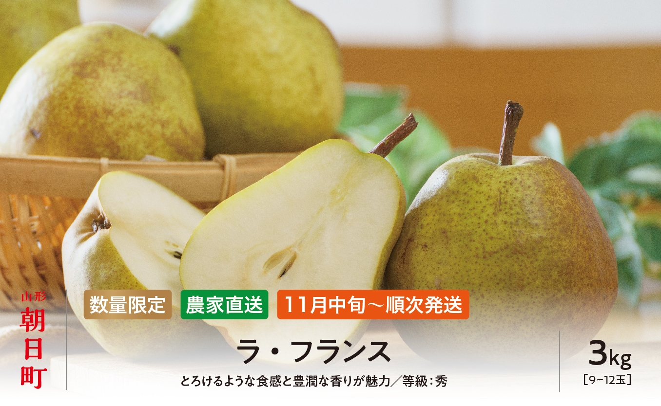 
                  ラ・フランス 洋梨 3kg 9～12玉 秀品 【11月中旬発送】 農家直送 山形県 朝日町産 山形産 山形 特産 産地直送 果物 フルーツ ラフランス 秋
                