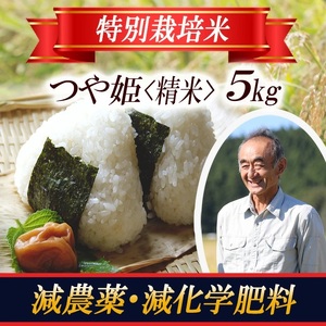 1401R07　特別栽培米 つや姫5kg 山形県遊佐産 鳥海山の恵（令和7年産米）