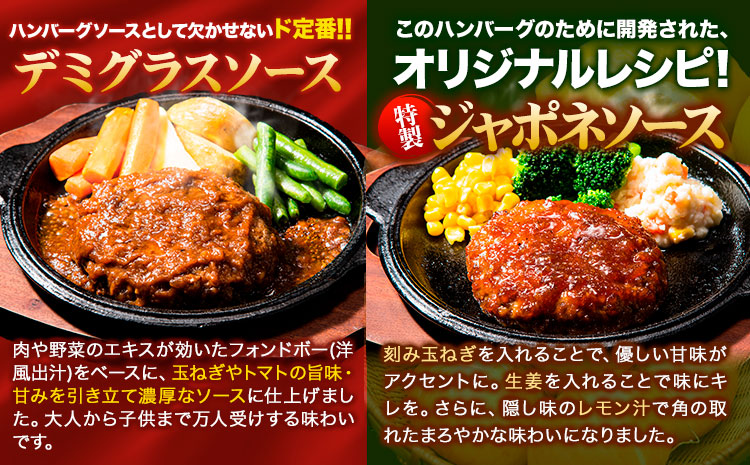 ハンバーグ 冷凍 大容量 20個 《7-14営業日以内に出荷予定(土日祝除く)》国産 肉 牛肉  ソース デミグラス 和風 ジャポネ テリヤキ 照り焼き 湯煎 訳あり 人気 熊本 玉東町 豚肉 返礼品 温めるだけ 小分け 選べる 食べ比べ 簡単 調理 特製 惣菜--gkt_fjihnv_wx_24_13000_20i--