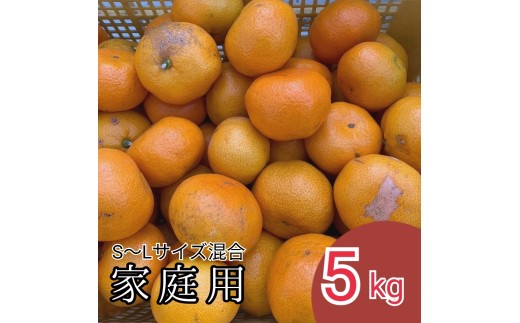 N033 【まごころ手選別】有田みかん５ｋｇ（Ｓ～Ｌサイズ混合）家庭用