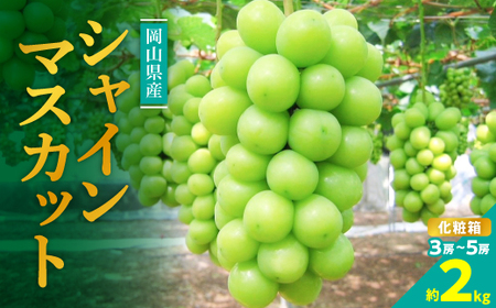 糖度!シャインマスカット!約2kg【2025年9月初旬より順次発送】ギフトにも岡山県産ぶどう!【配送不可地域：離島】【1365259】