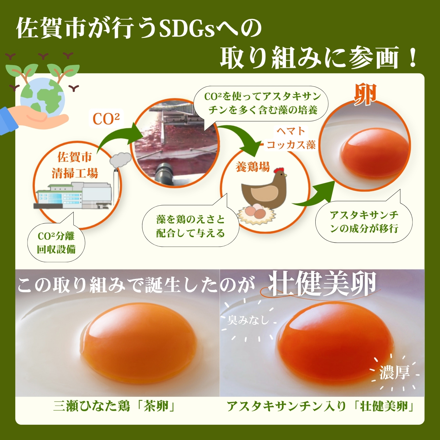 平飼いたまご 三瀬ひなた鶏舎 「壮健美卵」6個入り×6パック【うち割れ保証5個】：B125-032_イメージ4