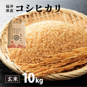 福井県産 コシヒカリ 玄米 10kg（10kg×1）＜令和7年産 新米 / 数量限定 ＞【米 コメ お米 精米 白米 無洗米 玄米 ご飯 飯 こしひかり ブランド米 国産】[095-a004_B] 