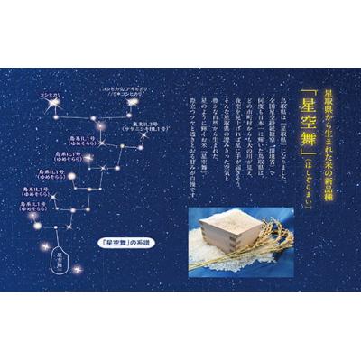 ふるさと納税 米子市 令和7年産　星空舞　5kg(5kg×1袋) |  | 02