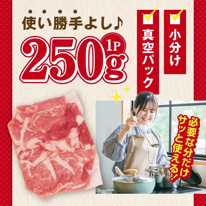 国産豚肉切り落とし2kg(250g×8P)〔LG-89-008-2kg〕_(都城市) 
