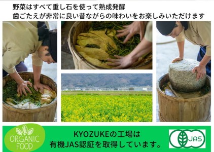 漬物 有機京のお野菜漬け 5種 漬物