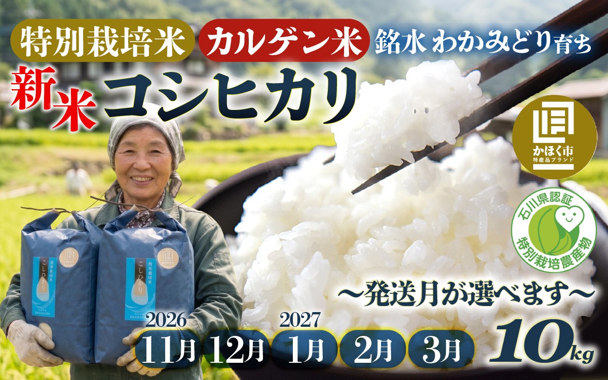 
                  【11月～3月発送】【令和8年産 新米】若緑産 特別栽培米「こしひかり」 10kg  /  令和8年産 米 単一原料米 コシヒカリ 国産 こめ コメ 白米 食品 常温 ご飯 お取り寄せ
                