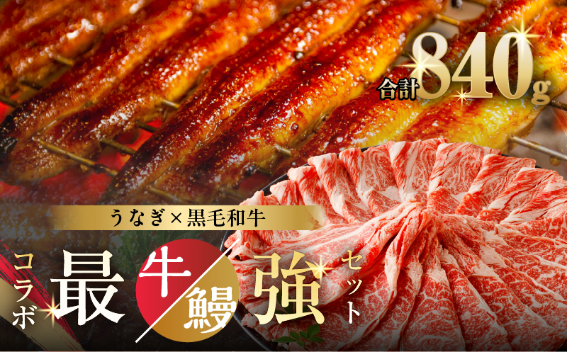 ≪数量限定≫うなぎ×黒毛和牛(経産牛) 都農町最強セットD 肉 牛 牛肉 おかず 国産_T030-132-02