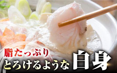 【 対馬産 】 天然 クエ 500g （身のみ）《対馬市》【石川水産】 鍋 水炊き 鮮度抜群 海鮮 [WAB004]