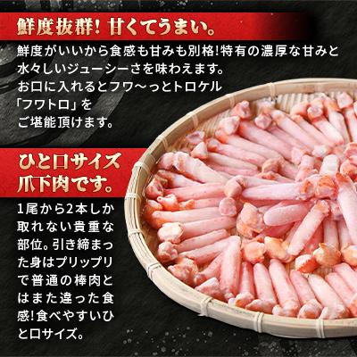 ふるさと納税 稚内市 【ご家族で楽しめる】紅ズワイガニ 爪下 剥き身 1kg 北海道 稚内市 国産 海鮮 |  | 01