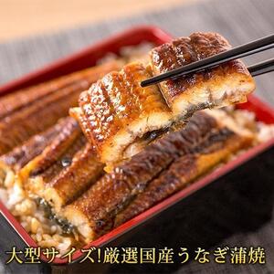 【魚鶴商店】人気の魚の幸定期便（塩サバ・うなぎ蒲焼・鮭切身）【定期便全3回】