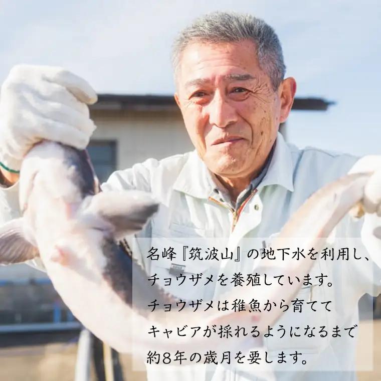 キャビア 詰め合わせ セット 20g×3 キャビア  高級食材  記念日 誕生日 世界三大珍味 国産キャビア 茨城県産 茨城 [AI001sa]