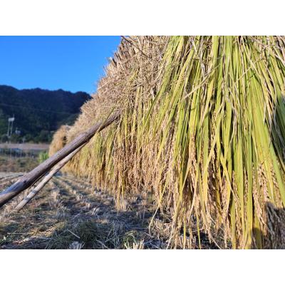 ふるさと納税 八頭町 【令和7年産新米】農家直送　自然栽培米「鳥取旭」5kg(精米) |  | 03