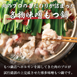 【ふるさと納税】訳あり！博多味噌もつ鍋 10人前セット [a9437] 株式会社Meat Plus ※配送不可：離島【返礼品】添田町 ふるさと納税