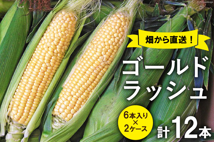 
                  スイートコーン (ゴールドラッシュ) 12本 [株式会社えべし 山梨県 中央市 21470248] とうもろこし トウモロコシ コーン やさい 野菜 旬野菜 旬 季節限定 期間限定 冷蔵 【2027年7月上旬-7月下旬発送予定】
                