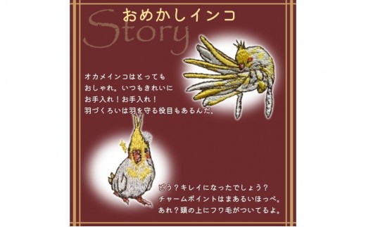 おはなし靴下 ギフトボックス オカメインコ レディース ピンク
