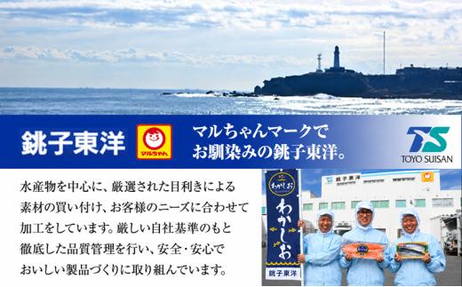 鮭 訳あり 銀鮭 切身 厚切り 約 6kg 定期便 隔月 2回  (約 3kg ×2回)  銚子東洋 千葉県 銚子市 魚介類 海鮮 訳アリ 規格外 不揃い さけ サケ 鮭切身 シャケ 切り身 冷凍 家庭用 おかず 弁当 サーモン 銀鮭切り身 魚 わけあり 大容量 肉 厚 キャンペーン ランキング 送料無料 小分け に 便利 ふるさと納税 ふるさと納税鮭