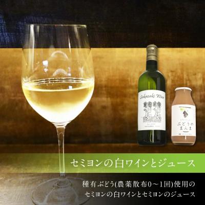 ふるさと納税 幸田町 純米吟醸原酒「下田」1本、白ワイン(セミヨン)1本、セミヨンジュース2本 詰め合わせ |  | 02