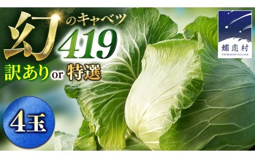 
                  【7月中旬発送開始】 まぼろしの419キャベツ 4玉 きゃべつ 嬬恋村産キャベツ 羽生田売店 幻のキャベツ419 産地直送 期間限定 先行予約 人気 朝採り 通販 お取り寄せ 関東 群馬 出荷時期限定 先行受付 [AL021tu00]
                