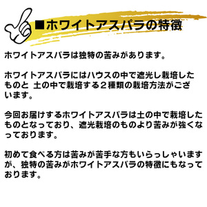 【2024年5月中旬～発送】訳あり ホワイト アスパラ SMサイズ混合 1kg セット北海道 富良野市 (スイートベジタブルファクトリー) 野菜 新鮮 直送 朝採り アスパラガス 道産 北海道 ふらの
