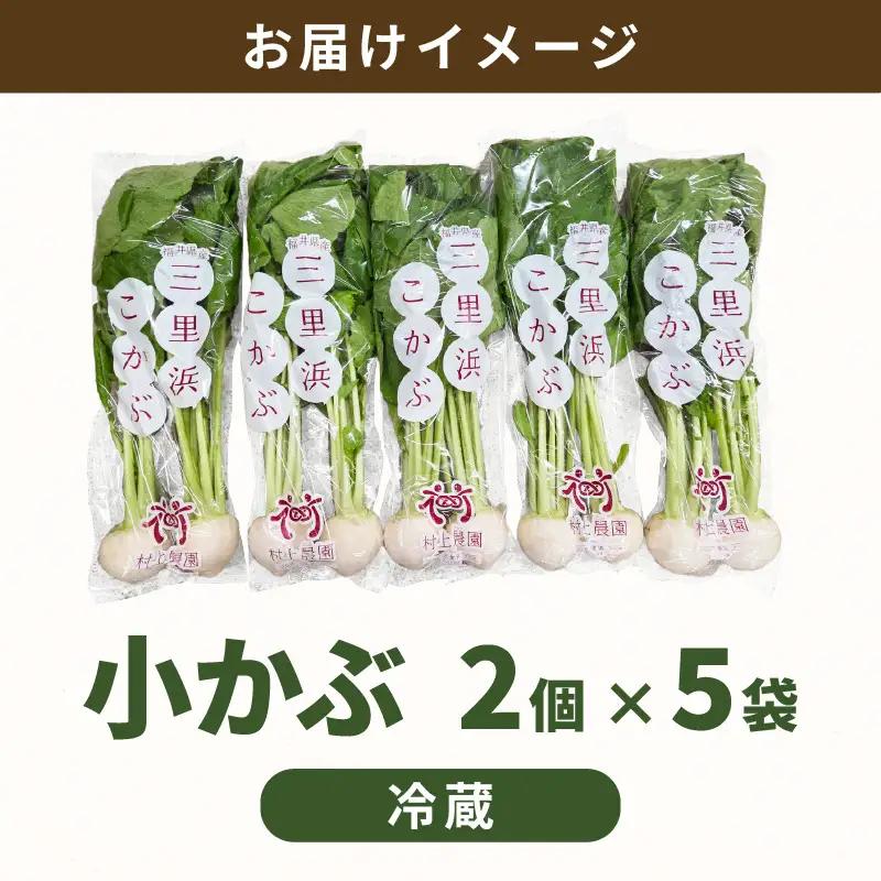 先行予約 村上農園産 小かぶ5パック入り (2玉×5袋) 計10個 2026年10月中旬以降順次発送予定 野菜 かぶ 新鮮 [A-16517]
