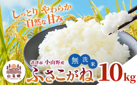 【 先行予約 】 8月下旬から順次発送 無洗米 令和7年産 君津市小山野産 ふさこがね 10kg | 新米 メディアで紹介 ！ あかかげ農園 山名郷米 メディアで紹介 ！ 本州限定発送 千葉稲作 しんまい シンマイ フサコガネ 千葉県産 むせんまい 米 コメ こめ お米 千葉県 君津市 きみつ