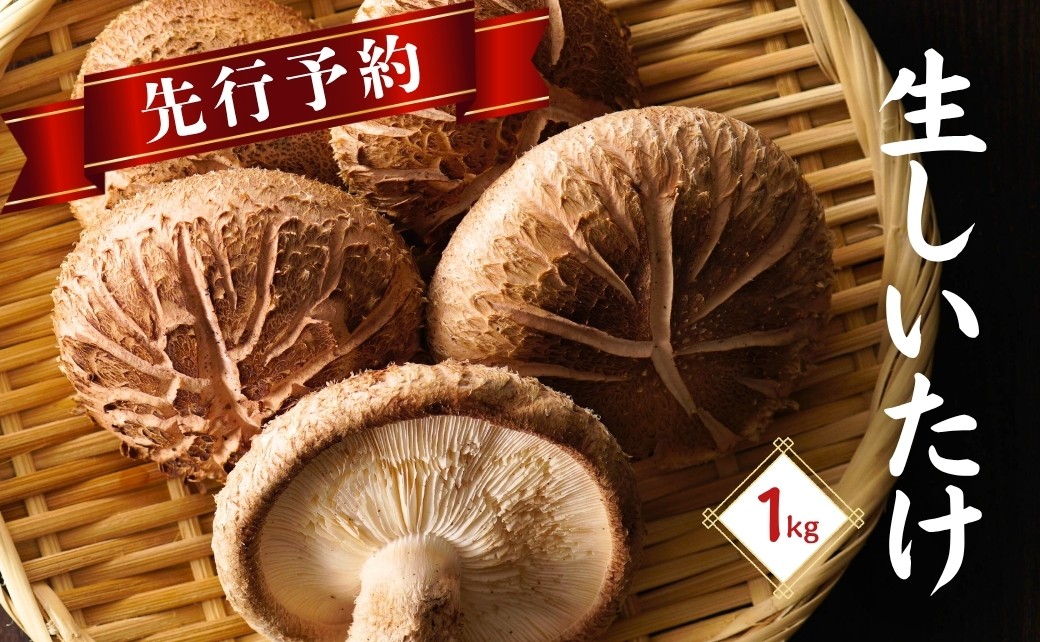 
                  【先行予約・大分県産 生しいたけ】椎茸 大分県産 しいたけ 津久見で育てた肉厚 生しいたけ 1㎏ | しいたけ 干し椎茸 しいたけステーキ 干椎茸 菌床しいたけ きのこ ギフト 国産 産地直送 津久見市
                