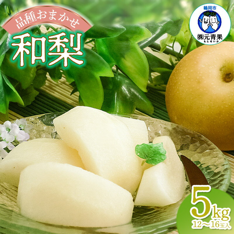 【ふるさと納税】【令和7年産先行予約】和梨 品種おまかせ 秀品 5kg(12〜16玉入) 幸水・南水・あきづき などの品種からいずれか1種をお届け！ 山形県鶴岡市産　元青果 なし